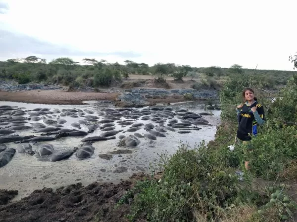 My kids were very impressed by the hippo pool