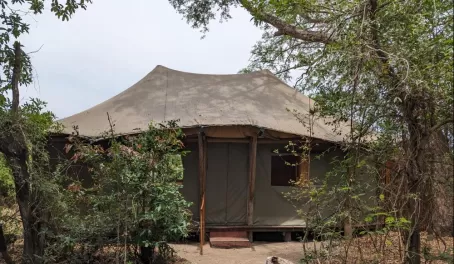 Musekese Camp tent