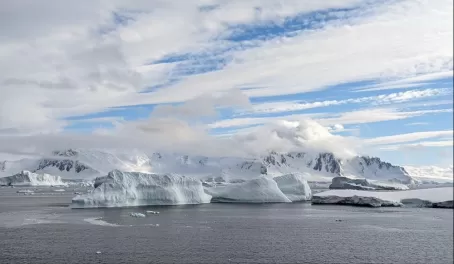Icebergs and Antarctic Peninsula