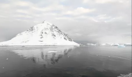 Antarctica trying to be Black and White