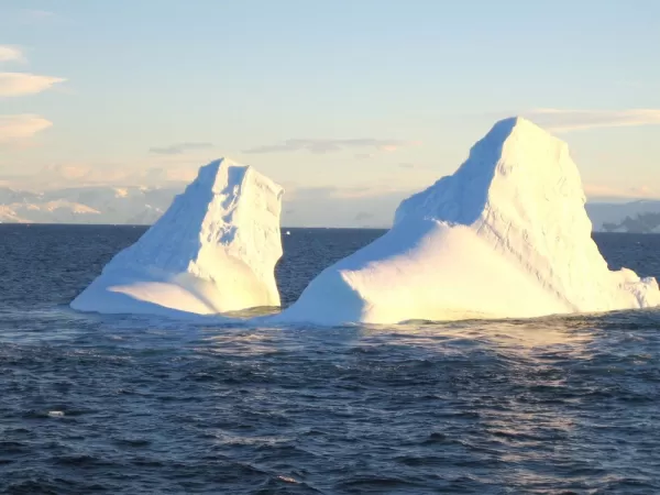 Icebergs near South Shetland Islands