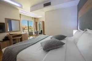 Standard double room
