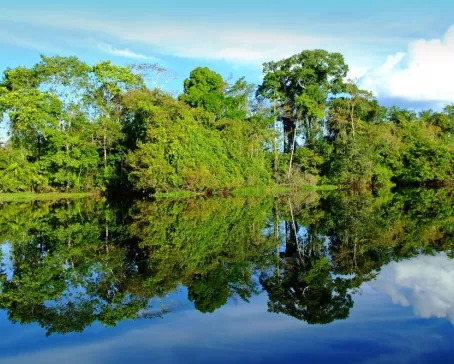 A lovely reflection off the Amazon River
