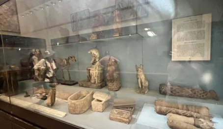 Egypt museum