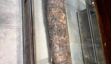 Egypt museum