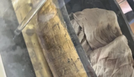 Egypt museum