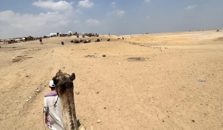 Camel ride in Egypt