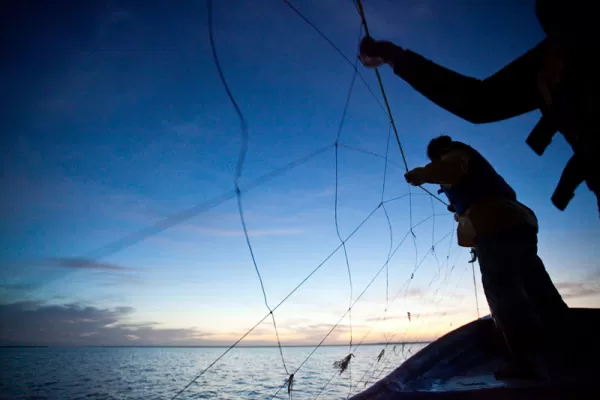 Setting up the net
