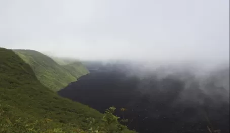 A foggy day in the Galapagos