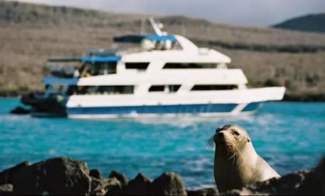 Enjoy up-close views of Galapagos wildlife from the decks of the Galapagos Sky