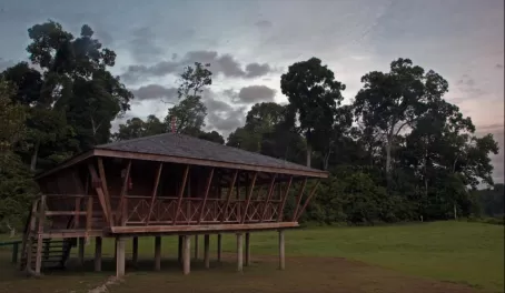 Iwokrama Lodge Cabin