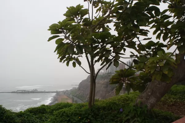 Overlooking the ocean in Lima