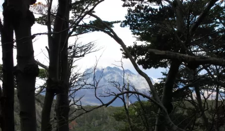 View from Tierra del Fuego National Park