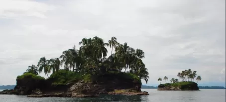 Panama island near Bocas del Toro