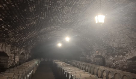 Casillero del Diablo Cellar