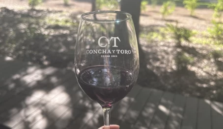 Concha y Toro Complimentary Glass