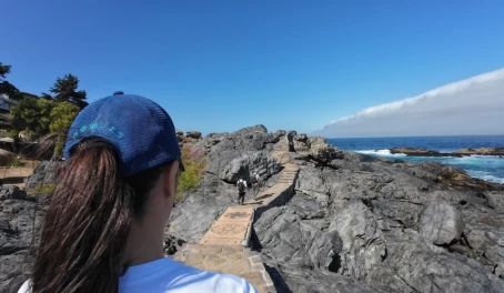 Coastal Walk in Cachagua, Chile