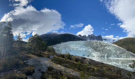Pia Glacier