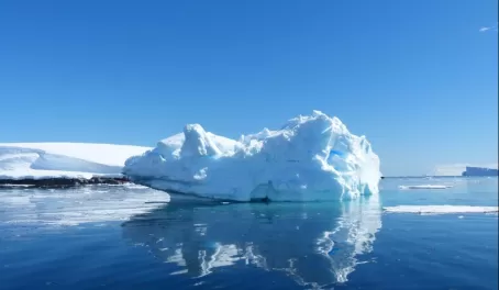 iceberg at Portal Point