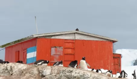 Old whaling hut oat Mikkelsen Harbour