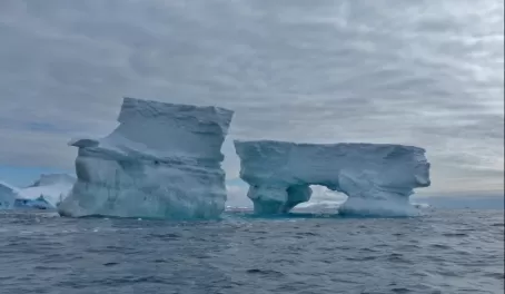 Icebergs at Spert Island