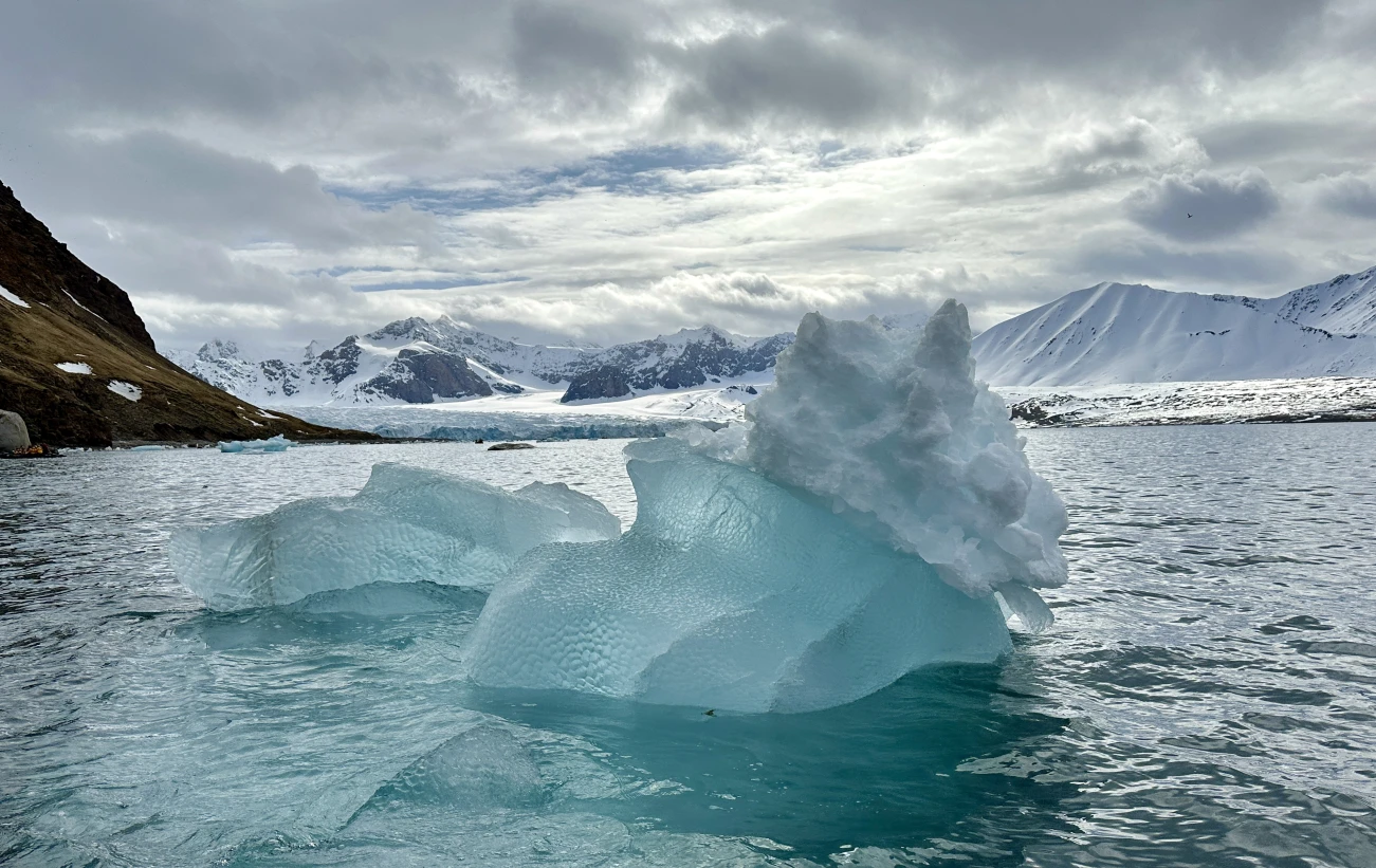 Svalbard Ice