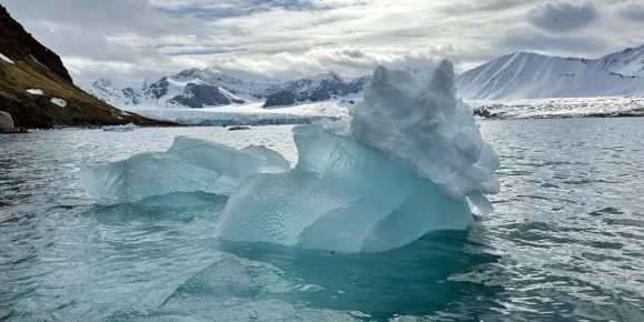 Svalbard Ice