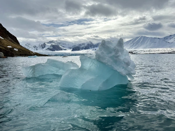 Svalbard Ice