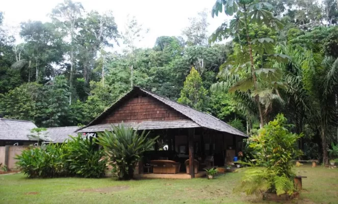 Welcome to Atta Rainforest Lodge