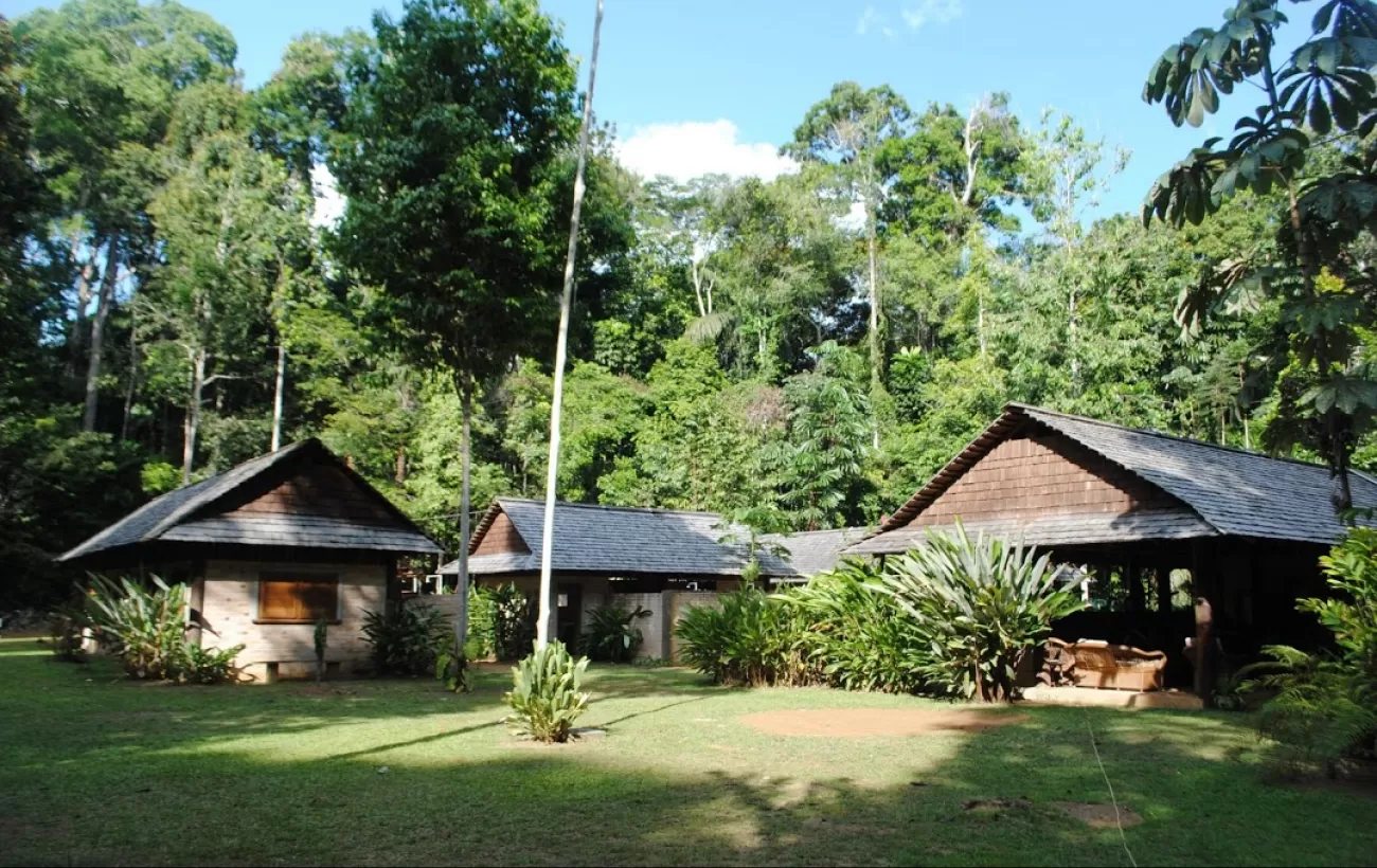 The lodge offers complete immersion into the rainforest experience
