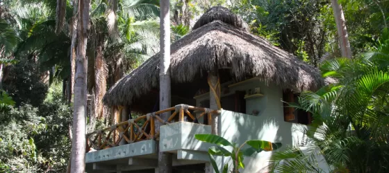 Welcome to Tailwind Jungle Lodge, nestled in the jungle outside of Puerto Vallarta