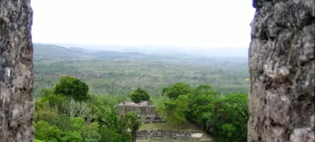 View of the Belizean rainforest from Xunantunich ruins