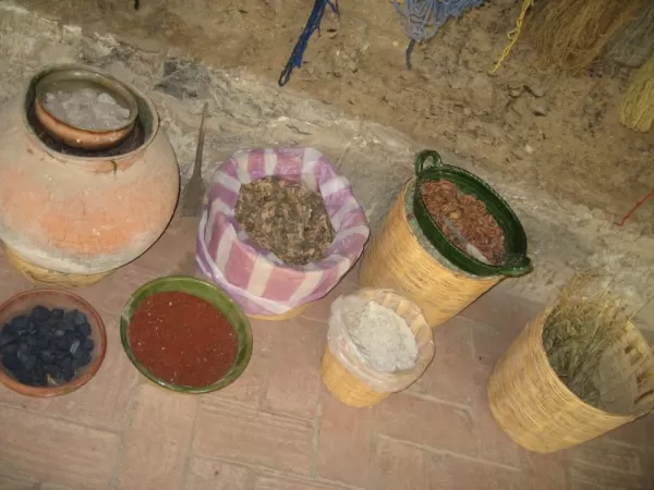 Flavors of Oaxaca