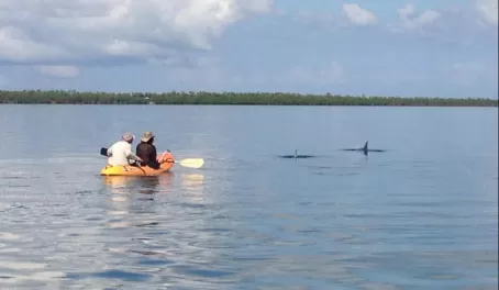 Kayaking with dolphins at Turneffe Flats