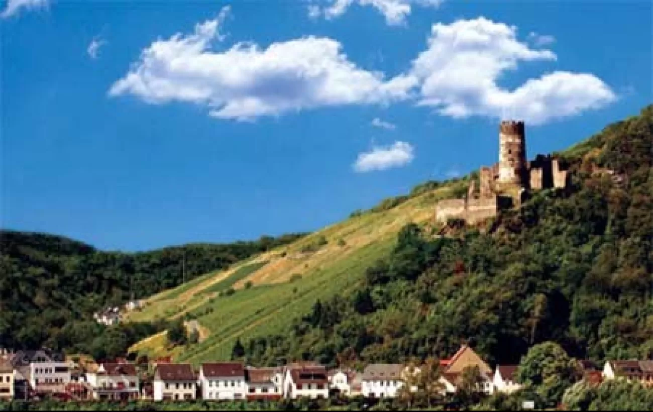 Sail by European villages, castles, and green landscapes as you cruise the celebrated Rhine River