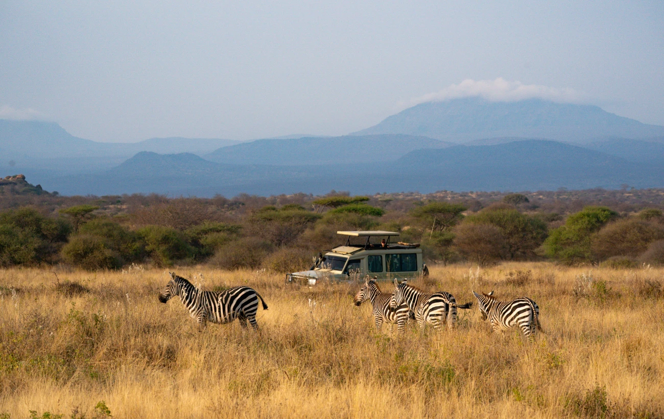 Safari experience in Kenya