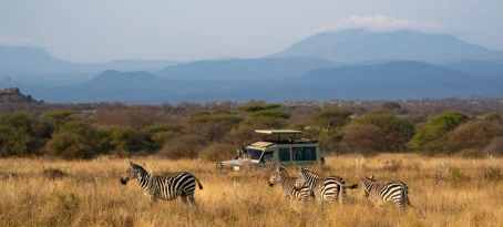 Safari experience in Kenya