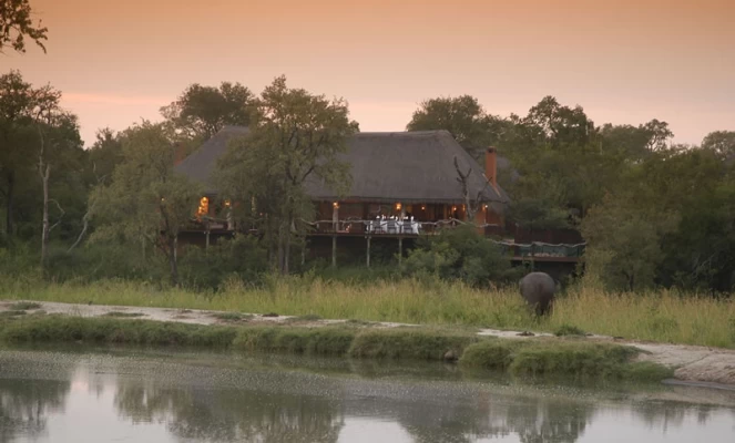 Simbambili Lodge nestled in the trees.