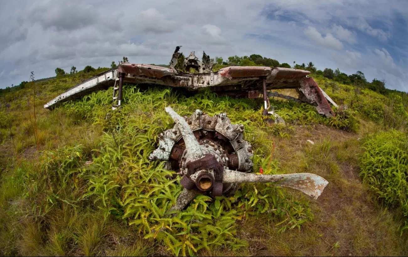 View the wrecks of Japanese Zeros on the island of Yap