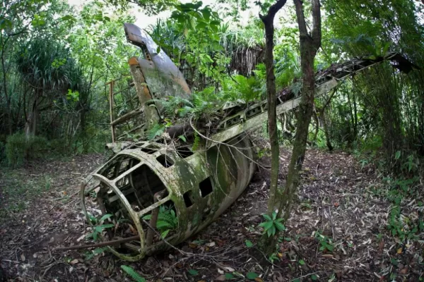 The wreckage of a Japanese Betty Bomber on the island of Yap