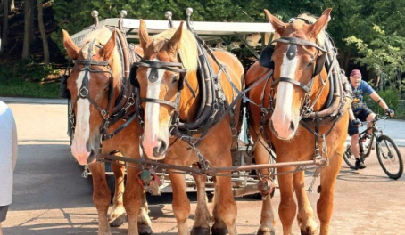 Hopping on a carriage tour on Mackinac Island