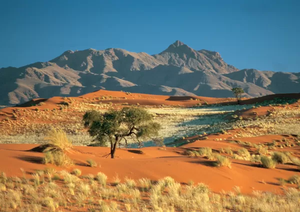 Discover the beauty of the NamibRand Nature Reserve