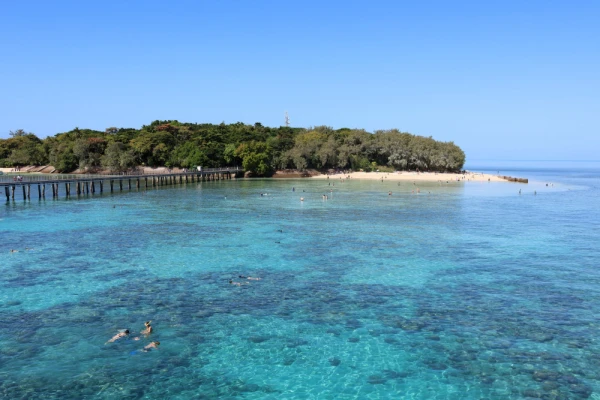 Tourists swimming and snorkelling in clear turquoise water at Green Island on the Great Barrier Reef, Queensland, Australia