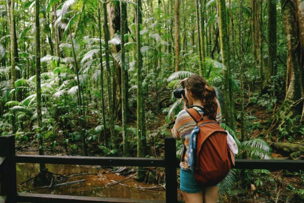 Traveler with backpack photographing the dense green jungle.