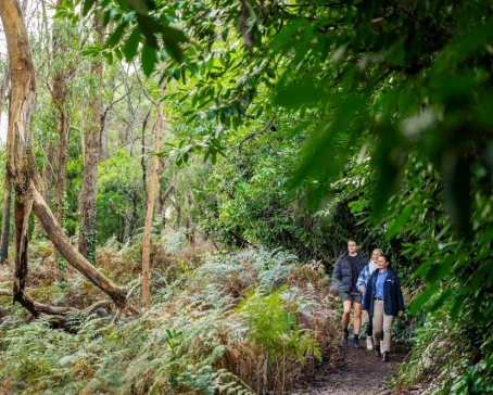 Walk around The Louise's estate in Barossa Valley