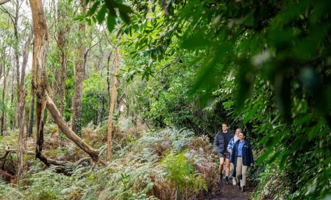 Walk around The Louise's estate in Barossa Valley