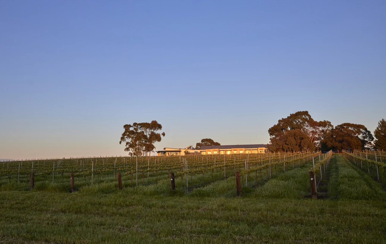 Vineyards around The Louise in Barossa Valley