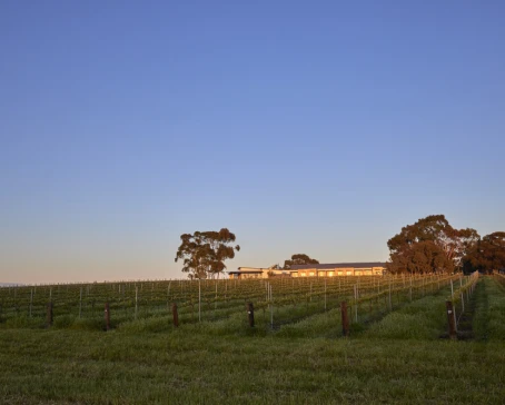 Vineyards around The Louise in Barossa Valley