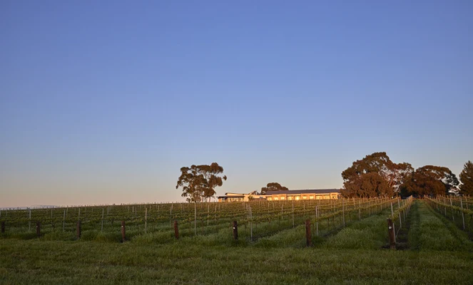 Vineyards around The Louise in Barossa Valley