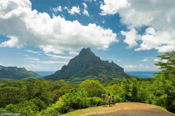 Travelers take in panoramic views of majestic Mount Rotui, dense green jungle valleys, and the ocean in Moorea
